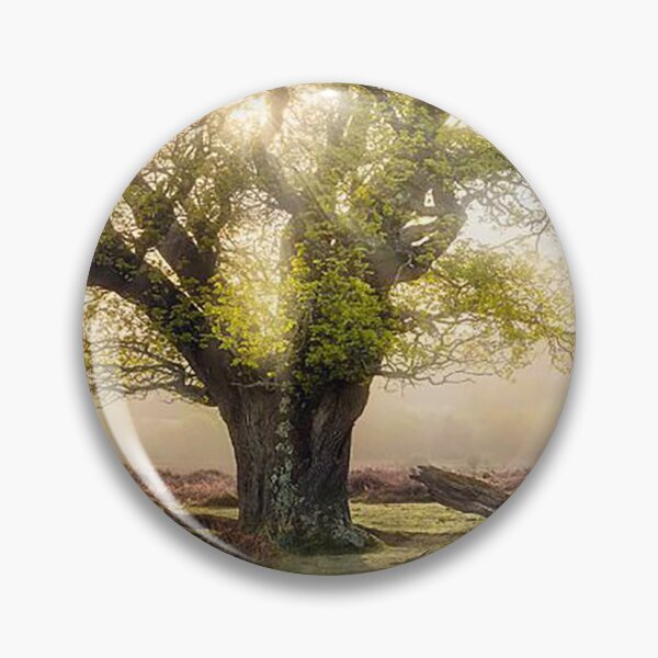 Item preview, Ancient Oak Tree, New Forest designed and sold by Martin Stokes Photography.
