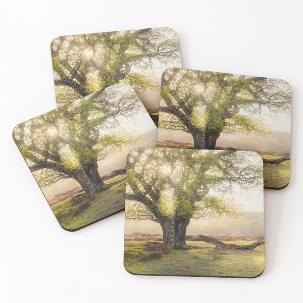 Item preview, Ancient Oak Tree, New Forest designed and sold by Martin Stokes Photography.