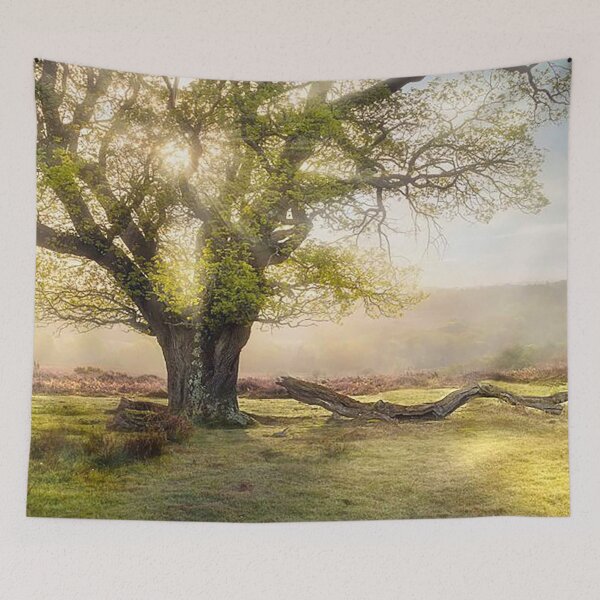 Item preview, Ancient Oak Tree, New Forest designed and sold by Martin Stokes Photography.