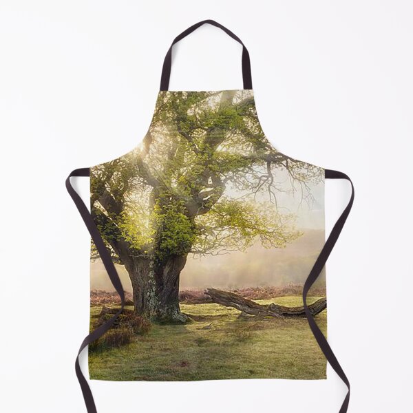 Item preview, Ancient Oak Tree, New Forest designed and sold by Martin Stokes Photography.