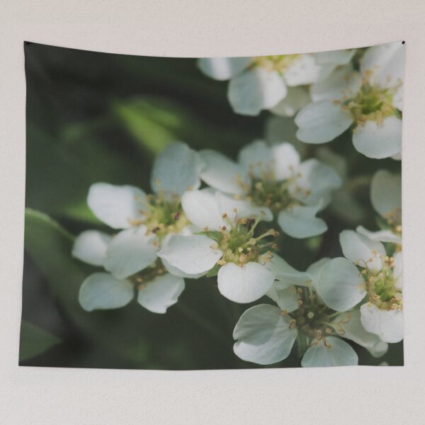 Aperçu de l'œuvre Macro-impression minimaliste de fleurs blanches créée et vendue par vikko-art.