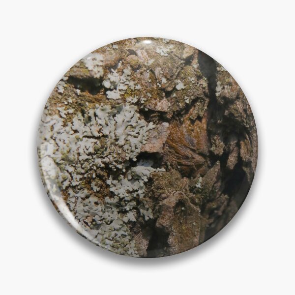 Item preview, Rustic Earthy Lichen on Tree Bark Macro designed and sold by vikko-art.