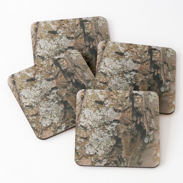 Item preview, Rustic Earthy Lichen on Tree Bark Macro designed and sold by vikko-art.
