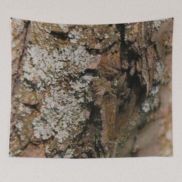 Item preview, Rustic Earthy Lichen on Tree Bark Macro designed and sold by vikko-art.