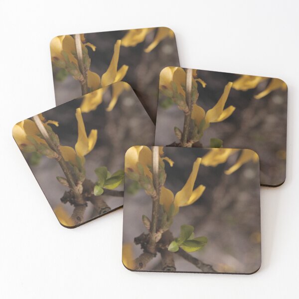 Item preview, Minimalist Spring Yellow Forsythia Blossoms Close-up designed and sold by vikko-art.