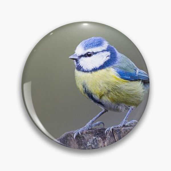 Item preview, Blue Tit on a Tree Stump designed and sold by Martin Stokes Photography.