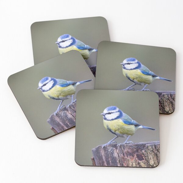 Item preview, Blue Tit on a Tree Stump designed and sold by Martin Stokes Photography.