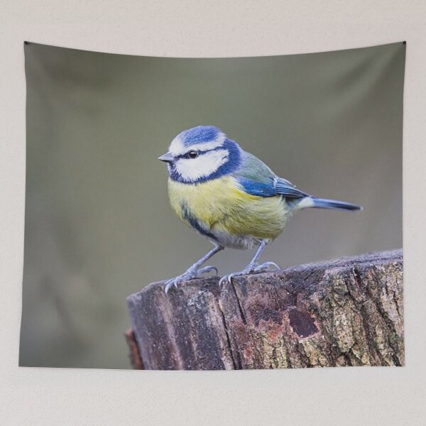 Item preview, Blue Tit on a Tree Stump designed and sold by Martin Stokes Photography.