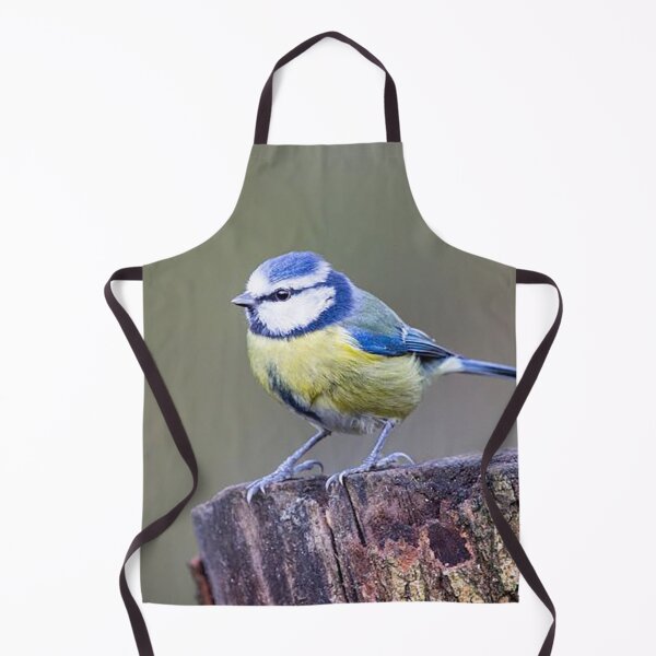 Item preview, Blue Tit on a Tree Stump designed and sold by Martin Stokes Photography.