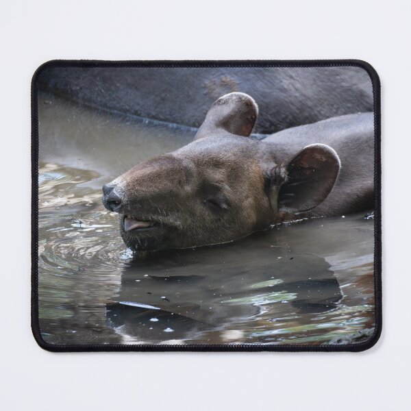 Item preview, Sleeping Tapir in Water – Peaceful Wildlife Moment designed and sold by WildFrameNature.