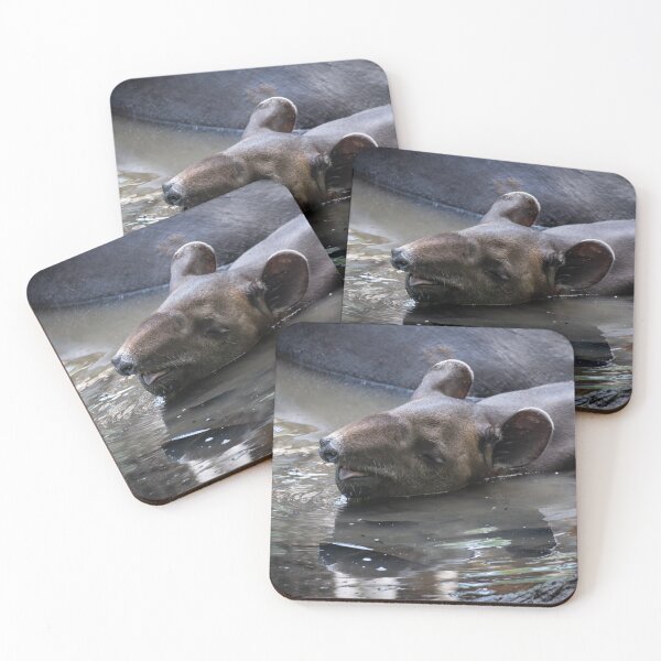 Item preview, Sleeping Tapir in Water – Peaceful Wildlife Moment designed and sold by WildFrameNature.