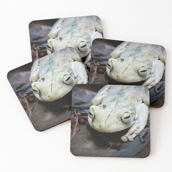 Item preview, Cute Tree Frog Close-Up – Exotic Wildlife Macro designed and sold by WildFrameNature.