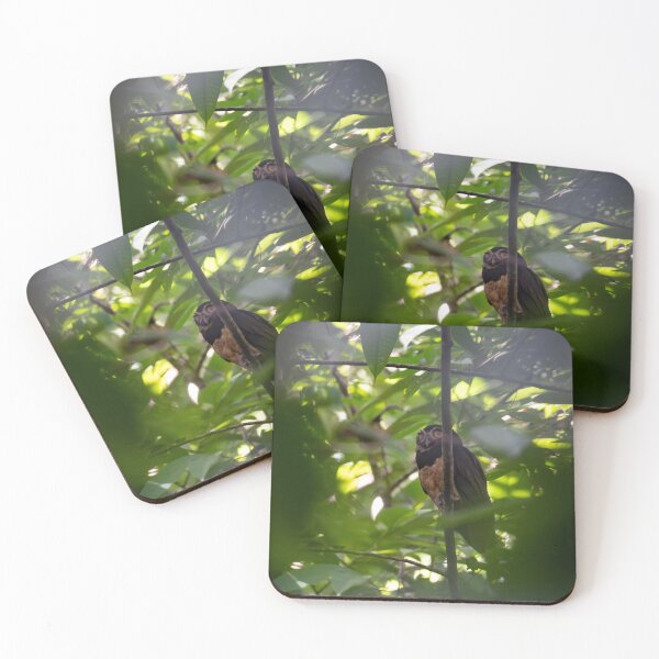 Item preview, Owl Hidden in Jungle – Mysterious Wildlife Moment designed and sold by WildFrameNature.