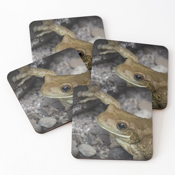 Item preview, Golden Tree Frog Close-Up – Exotic Wildlife Macro designed and sold by WildFrameNature.