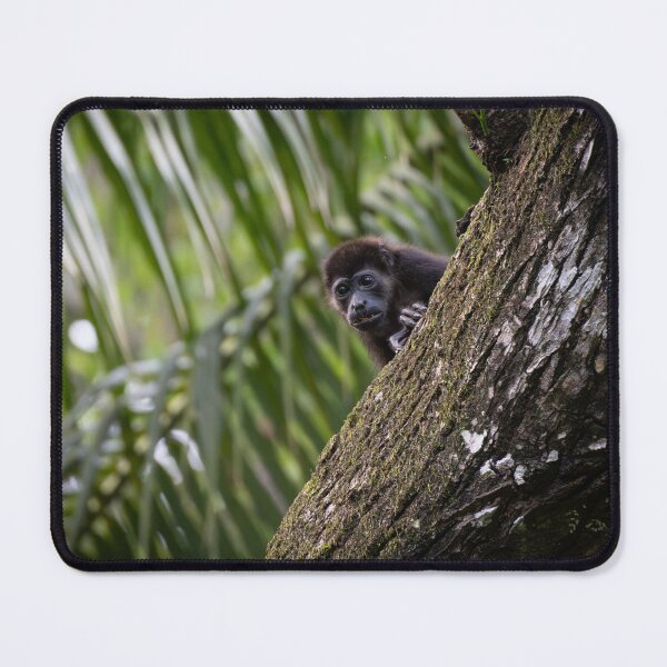Item preview, Curious Baby Monkey Peeking from Tree – Tropical Wildlife Photography designed and sold by WildFrameNature.