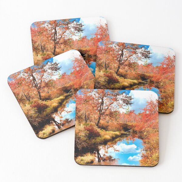 Item preview, Stream in Autumn, Pocono Mountains, Pennsylvania designed and sold by AMacGPhilly.