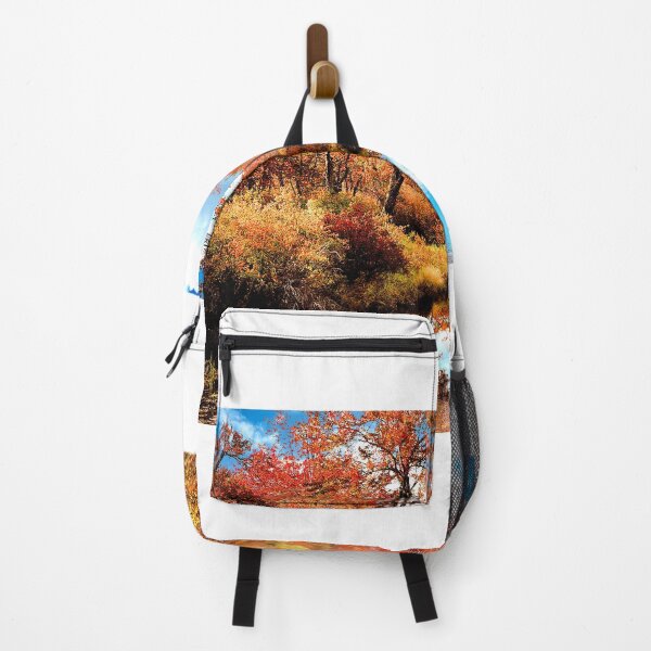 Item preview, Stream in Autumn, Pocono Mountains, Pennsylvania designed and sold by AMacGPhilly.