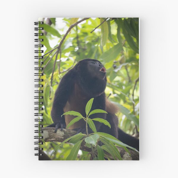 Item preview, Howler Monkey Calling in Jungle – Tropical Wildlife Photography designed and sold by WildFrameNature.