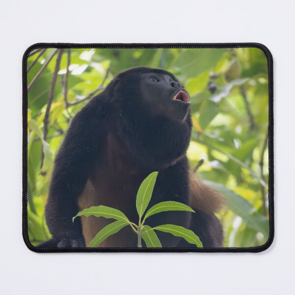 Item preview, Howler Monkey Calling in Jungle – Tropical Wildlife Photography designed and sold by WildFrameNature.
