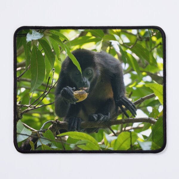 Item preview, Monkey Eating Fruit in Jungle – Tropical Wildlife Photography designed and sold by WildFrameNature.
