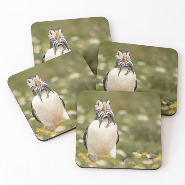 Item preview, Puffin with a Beakful of Sand Eels designed and sold by Martin Stokes Photography.