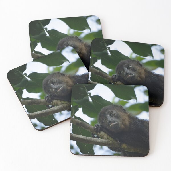 Item preview, Cute Baby Monkey Resting on Tree – Tropical Wildlife Photography designed and sold by WildFrameNature.