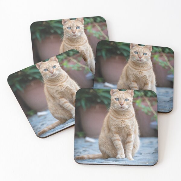 Item preview, Ginger Cat Portrait – Blue Eyes Cute Orange Cat Photography designed and sold by WildFrameNature.