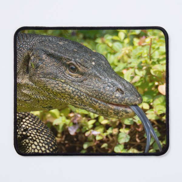 Item preview, Monitor Lizard Tongue Close-Up – Exotic Reptile Wildlife Photography designed and sold by WildFrameNature.
