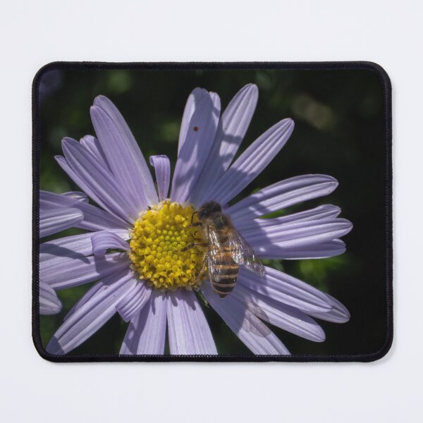 Item preview, Bee on Purple Flower – Macro Nature Photography designed and sold by WildFrameNature.