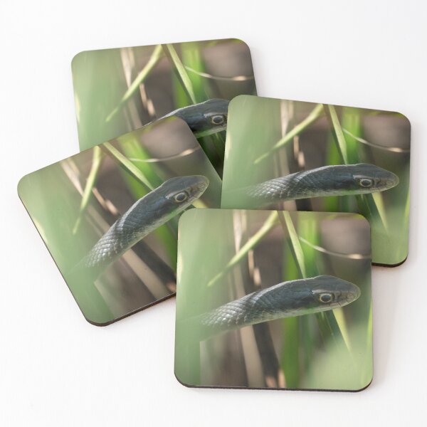 Item preview, Snake in the Grass – Minimal Wildlife Close-Up Photography designed and sold by WildFrameNature.