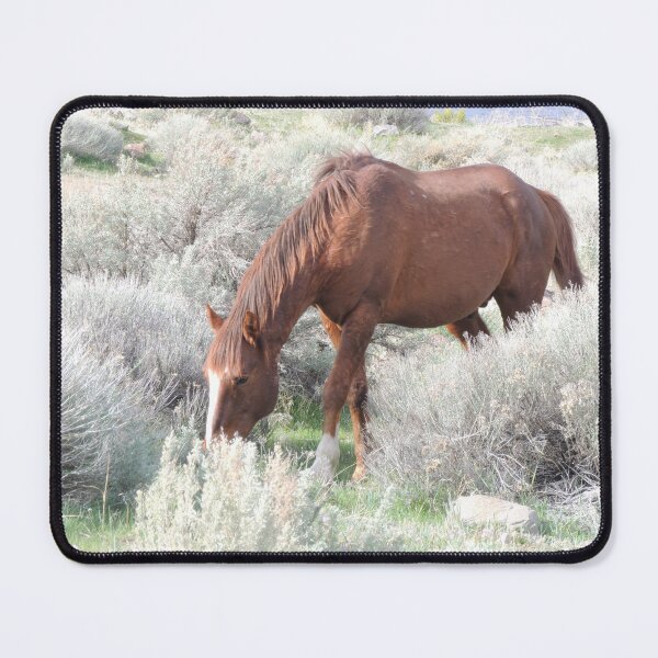 Item preview, Walking thru Sage Brush designed and sold by Robert Ball.