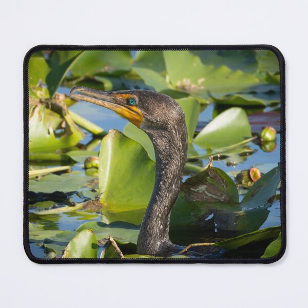 Item preview, Cormorant in Lily Pads – Wildlife Water Bird Photography designed and sold by WildFrameNature.