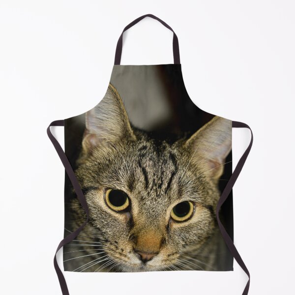 Item preview, Cat loving Stare designed and sold by DiarmuidGGart.