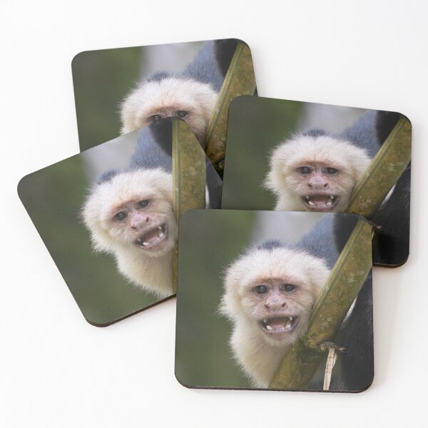 Item preview, Funny Capuchin Monkey  – Expressive Wildlife Portrait Costa Rica designed and sold by WildFrameNature.