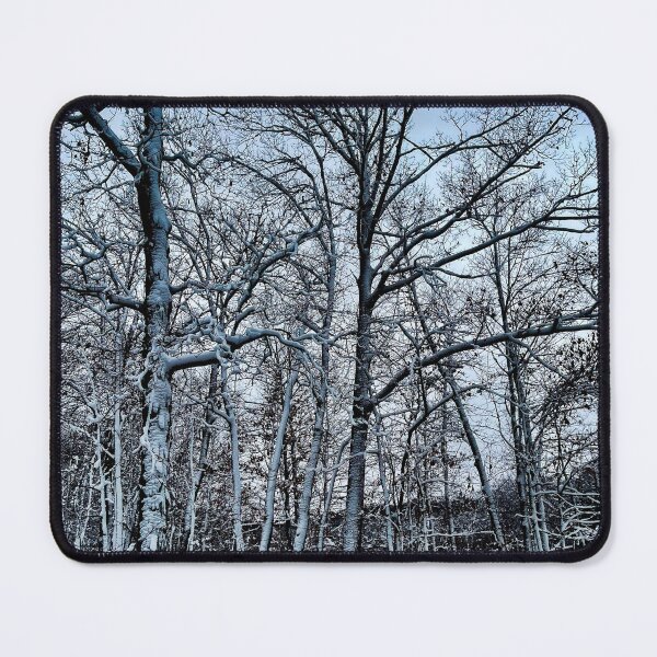 Item preview, Snow Covered Trees – Quiet Winter Forest Landscape Photography designed and sold by aadventures.