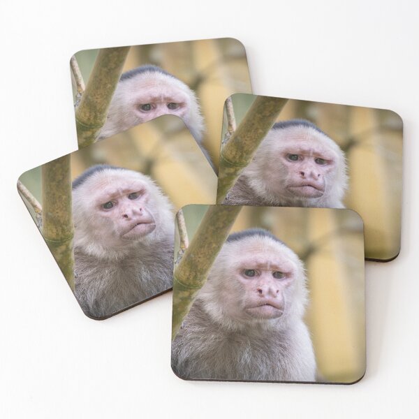 Item preview, Grumpy Capuchin Monkey Portrait – Thoughtful Wildlife  designed and sold by WildFrameNature.