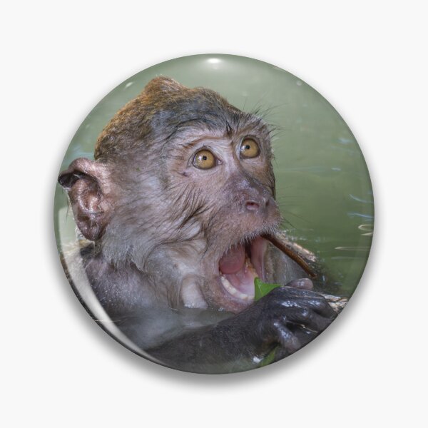 Item preview, Funny Monkey in Water – Playful Wildlife Moment designed and sold by WildFrameNature.