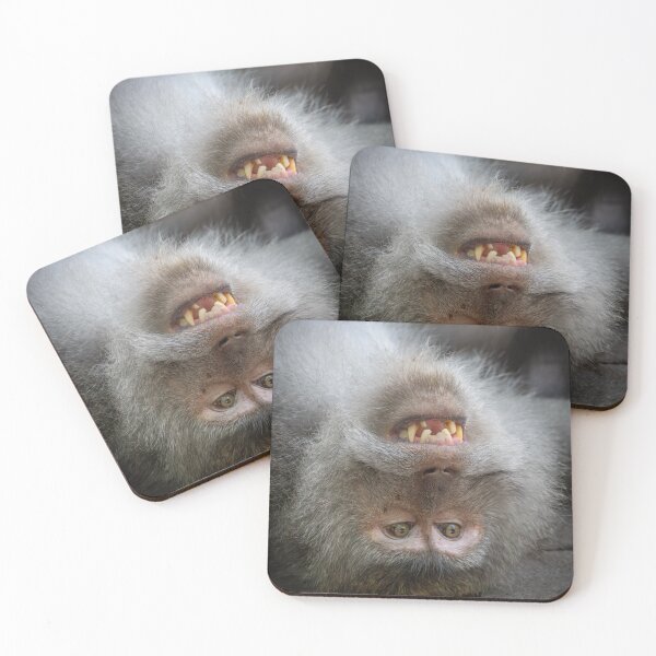 Item preview, Upside Down Monkey Smile – Funny Wildlife Moment designed and sold by WildFrameNature.