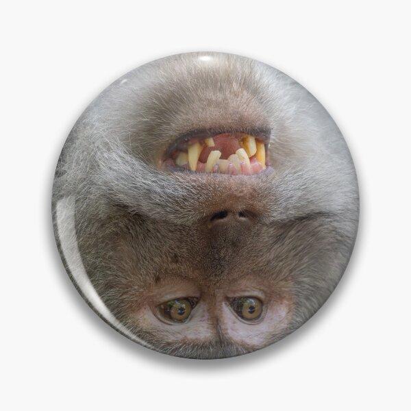 Item preview, Upside Down Monkey Smile – Funny Wildlife Moment designed and sold by WildFrameNature.