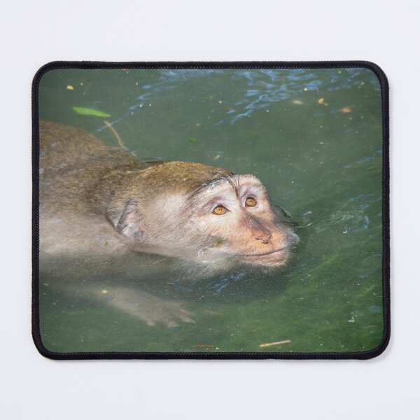 Item preview, Relaxed Monkey Floating in Water – Calm Jungle Moment designed and sold by WildFrameNature.