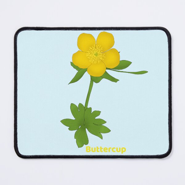 Item preview, Buttercup(Ranunculus bulbosus) designed and sold by Floralfusion.