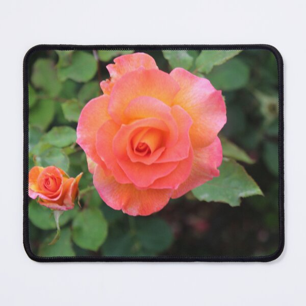 Item preview, Neon Rose Photograph designed and sold by neonflwr.
