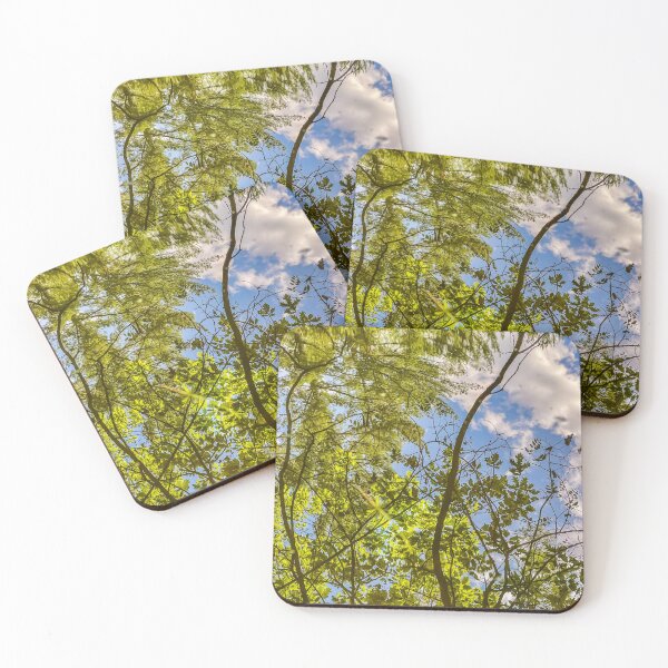 Item preview, Sky Through Water – Green Canopy Reflection Nature Photography designed and sold by aadventures.