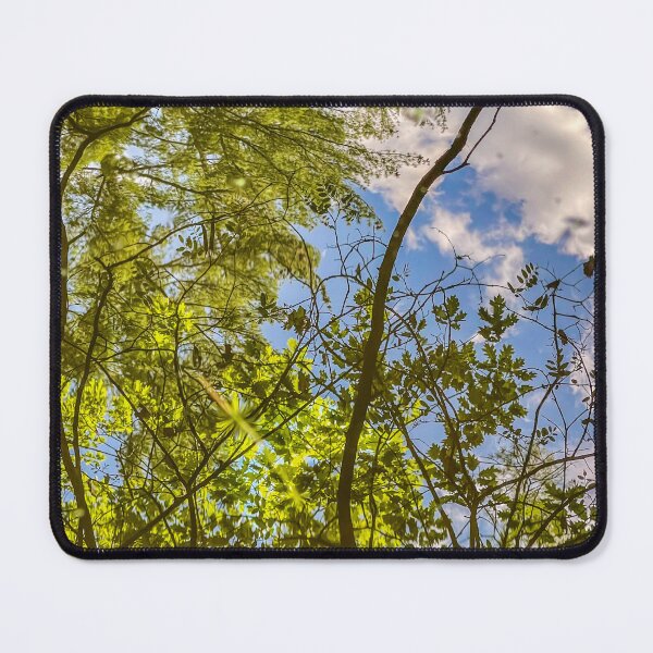 Item preview, Sky Through Water – Green Canopy Reflection Nature Photography designed and sold by aadventures.