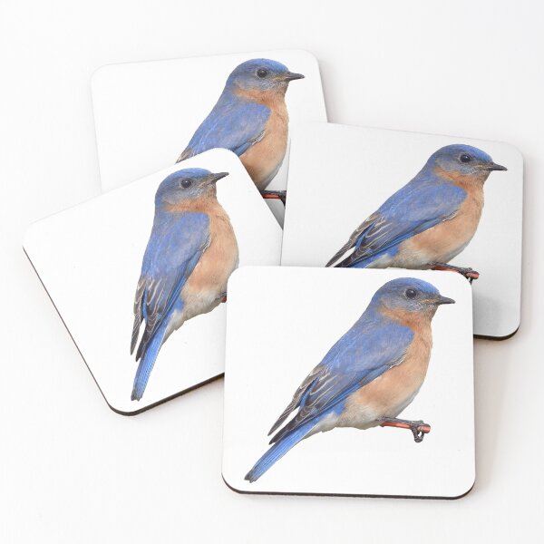 Item preview, Eastern Bluebird designed and sold by kyra0nicole.