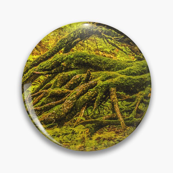 Item preview, Moss Covered Roots – Enchanted Forest Floor Nature Photography designed and sold by aadventures.
