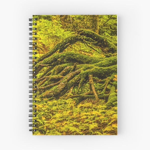 Item preview, Moss Covered Roots – Enchanted Forest Floor Nature Photography designed and sold by aadventures.