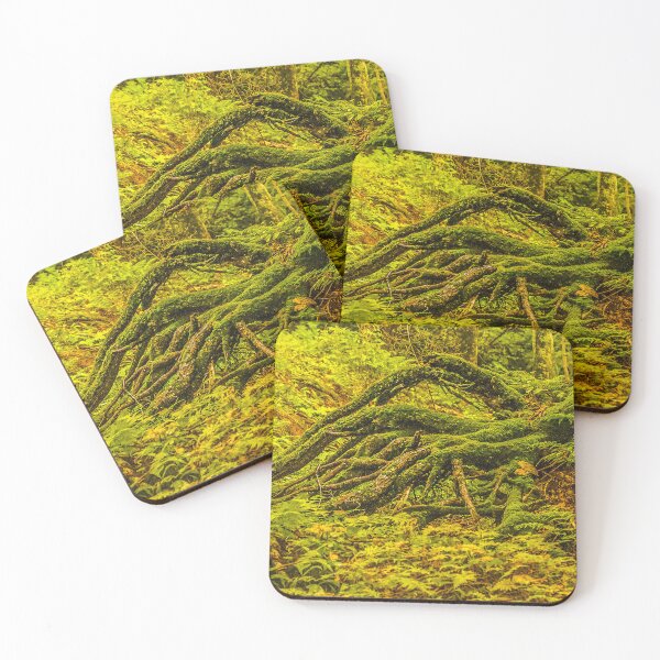 Item preview, Moss Covered Roots – Enchanted Forest Floor Nature Photography designed and sold by aadventures.