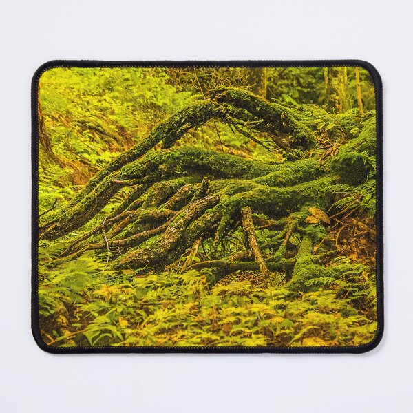 Item preview, Moss Covered Roots – Enchanted Forest Floor Nature Photography designed and sold by aadventures.