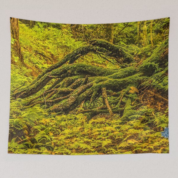 Item preview, Moss Covered Roots – Enchanted Forest Floor Nature Photography designed and sold by aadventures.